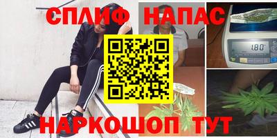 дмт Пушкино